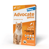 Antipulgas Advocate Gatos até 4 kg 1 pipeta