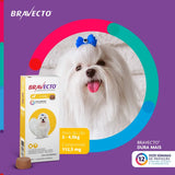 Antipulgas Bravecto 2 a 4,5 kg para Cães 112,5 mg 1 comprimido