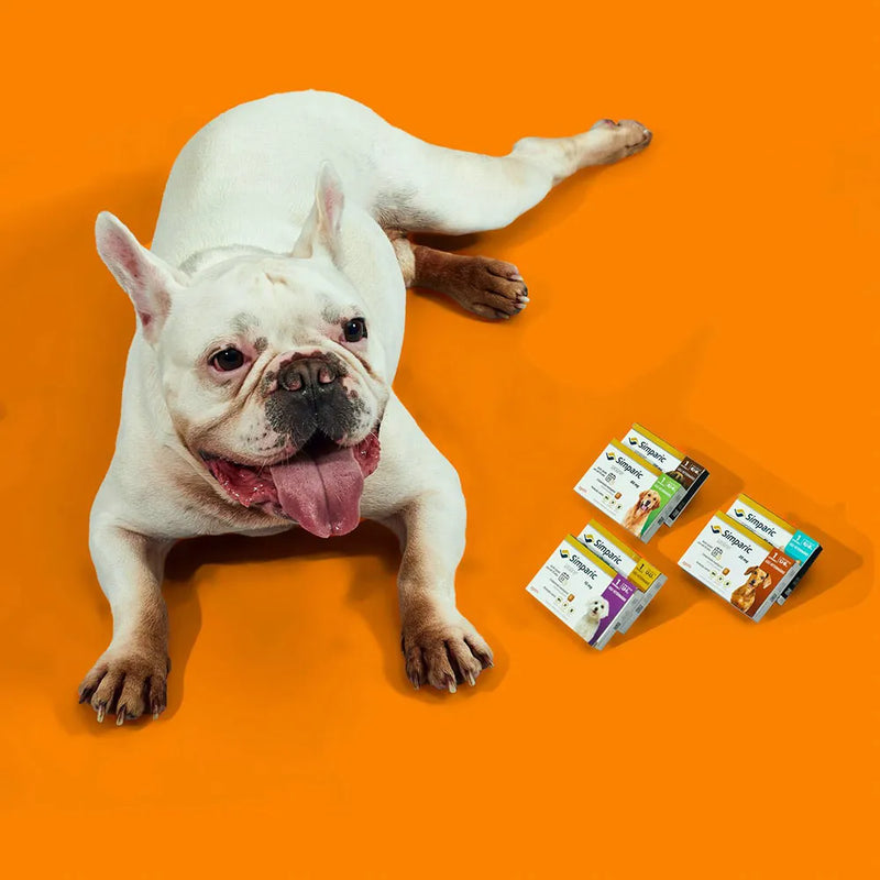 Antipulgas Simparic 10mg Para Cães 2,6 a 5kg