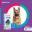 Antipulgas e Carrapatos Bravecto 20 a 40 kg Cães 1000mg 1 comprimido