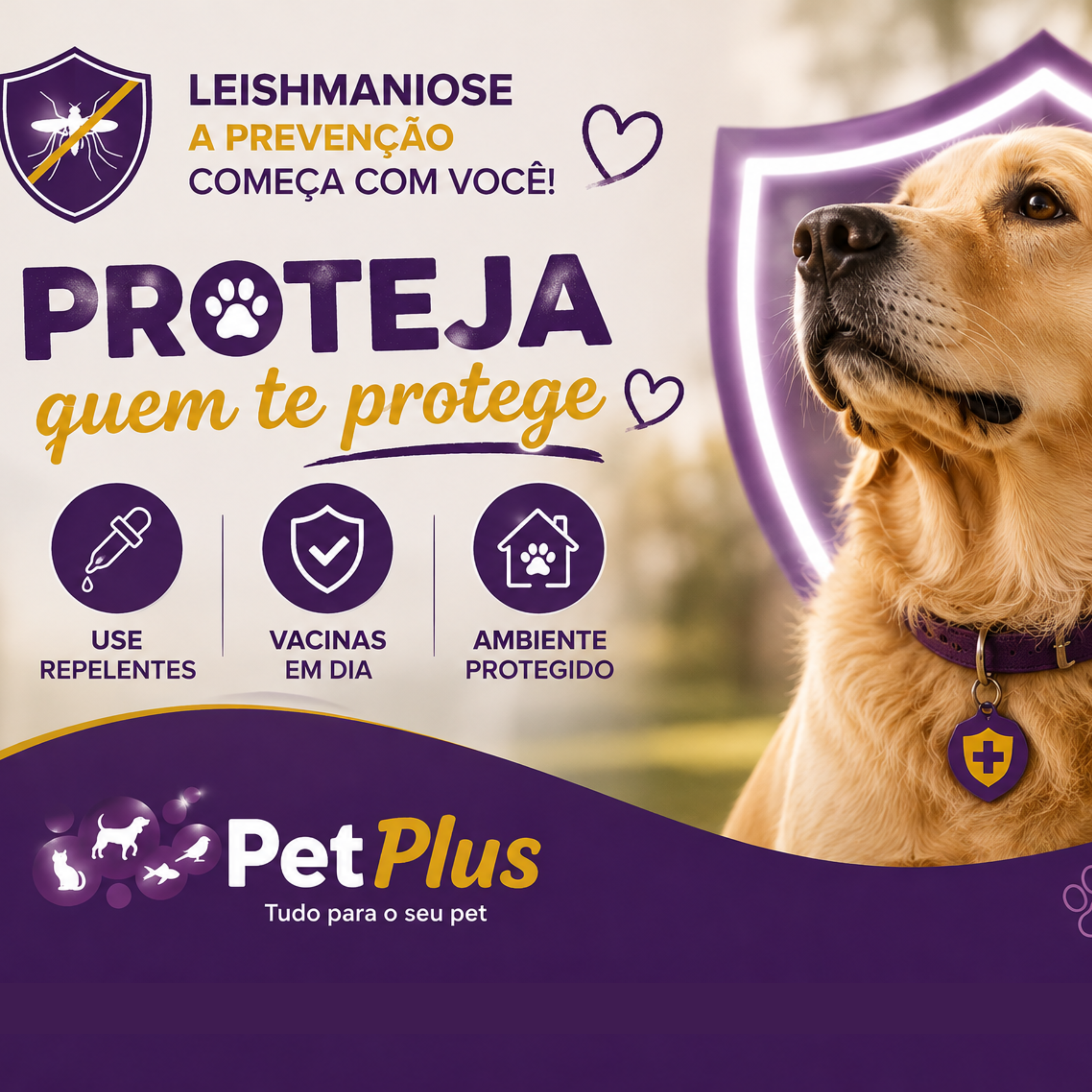 PetPlus 