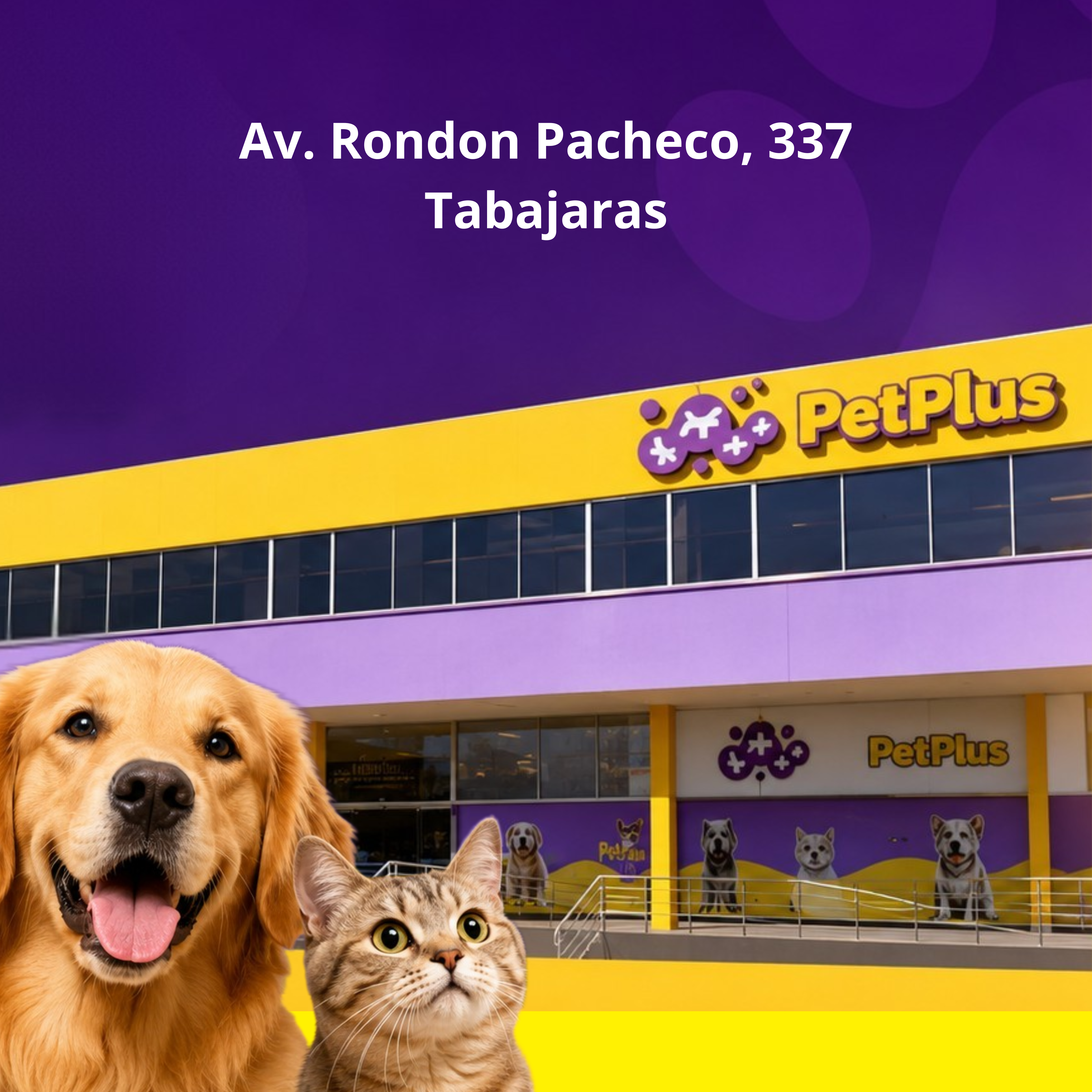 PetPlus 