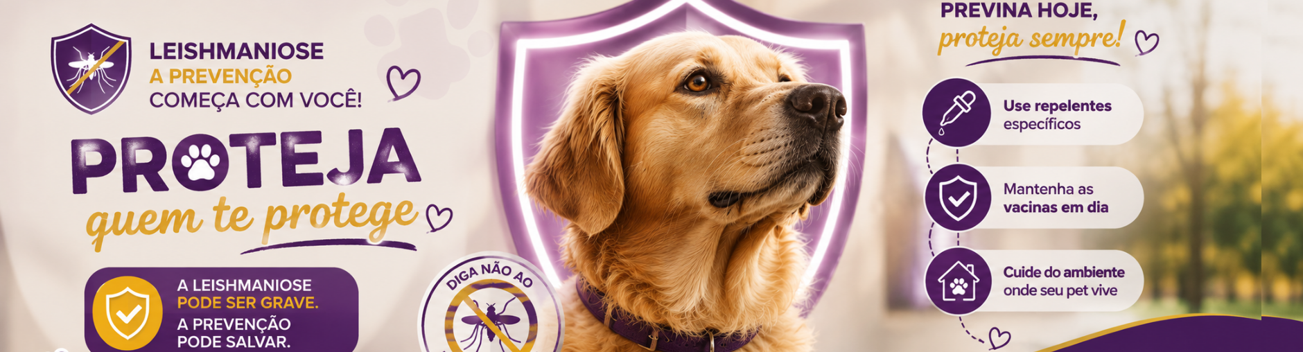 PetPlus 