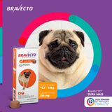 Antipulgas e Carrapatos Bravecto 4,5 a 10 kg para Cães 250mg 1 comprimido