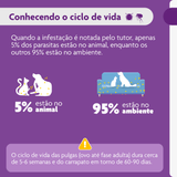 Antipulgas e Carrapatos Bravecto 4,5 a 10 kg para Cães 250mg 1 comprimido