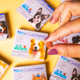NexGard Antipulgas e Carrapatos para Cães de 10,1 a 25kg