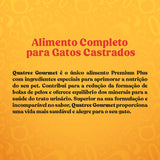 Ração Quatree Gourmet para Gatos Adultos Castrados Sabor Delícias do Mar