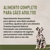 Ração Quatree Life Cães Adultos Raças Médias Grandes