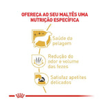 Ração Royal Canin Maltês Cães Adultos