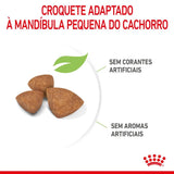 Ração Royal Canin X-Small Cães Filhotes