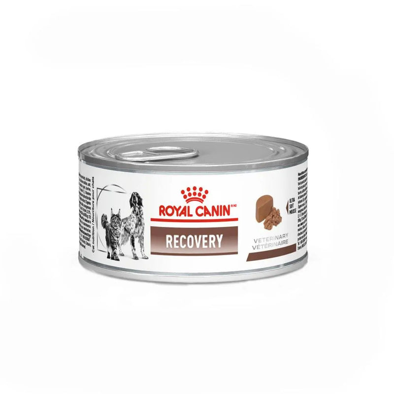 Ração Úmida Royal Canin Recovery Cães e Gatos 195 g