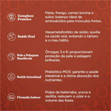 Ração Quatree Gourmet Cães Adultos Raças Pequenas